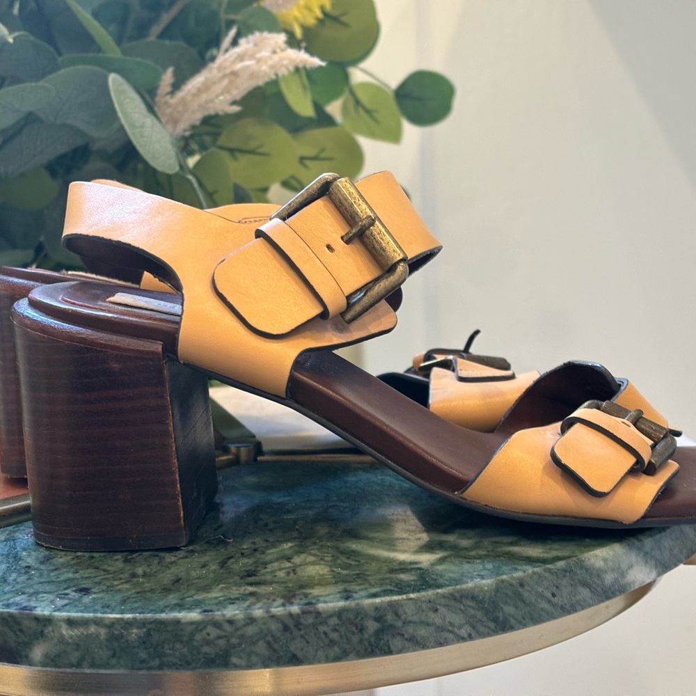 Seebychloe - Picture 7 of 10